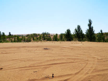 The artificially managed desert forms an oasis in the desert, with cross-country, sea of flowers, streams, green plants and beautiful scenery.の写真素材