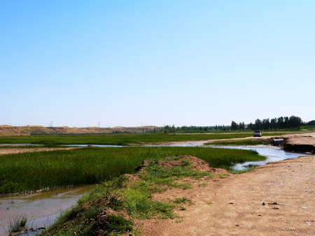 The artificially managed desert forms an oasis in the desert, with cross-country, sea of flowers, streams, green plants and beautiful scenery.の写真素材