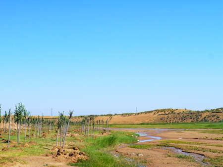 The artificially managed desert forms an oasis in the desert, with cross-country, sea of flowers, streams, green plants and beautiful scenery.の写真素材