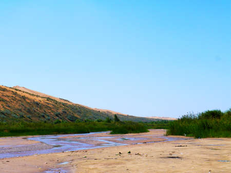 The artificially managed desert forms an oasis in the desert, with cross-country, sea of flowers, streams, green plants and beautiful scenery.の写真素材