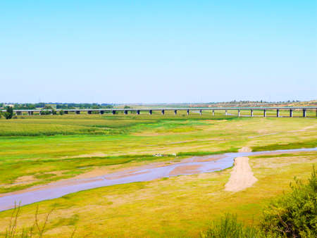 The artificially managed desert forms an oasis in the desert, with cross-country, sea of flowers, streams, green plants and beautiful scenery.の写真素材