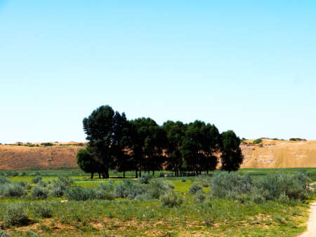 The artificially managed desert forms an oasis in the desert, with cross-country, sea of flowers, streams, green plants and beautiful scenery.の写真素材