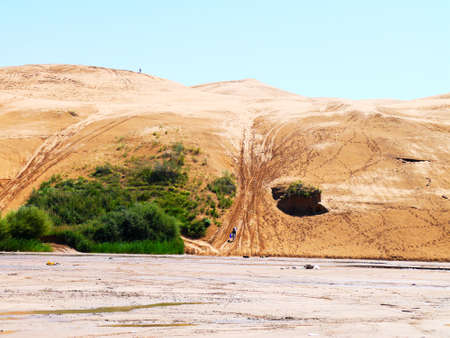 The artificially managed desert forms an oasis in the desert, with cross-country, sea of flowers, streams, green plants and beautiful scenery.の写真素材