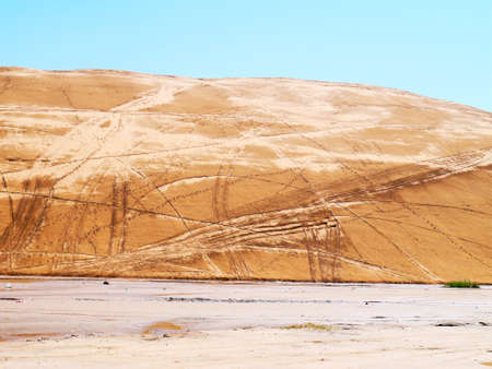 The artificially managed desert forms an oasis in the desert, with cross-country, sea of flowers, streams, green plants and beautiful scenery.の写真素材