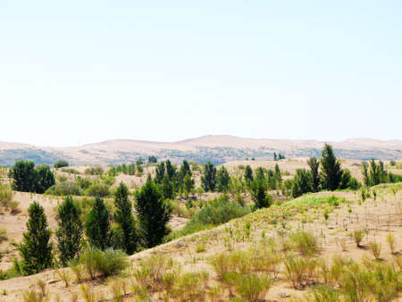 The artificially managed desert forms an oasis in the desert, with cross-country, sea of flowers, streams, green plants and beautiful scenery.の写真素材