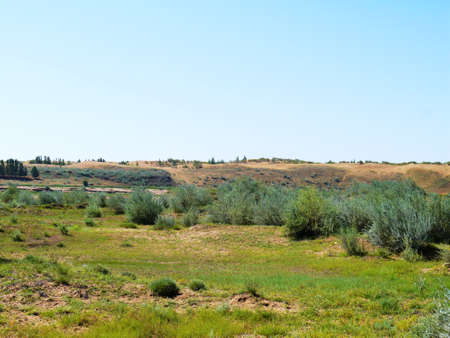 The artificially managed desert forms an oasis in the desert, with cross-country, sea of flowers, streams, green plants and beautiful scenery.の写真素材