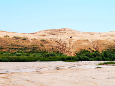 The artificially managed desert forms an oasis in the desert, with cross-country, sea of flowers, streams, green plants and beautiful scenery.の写真素材