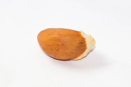 Seed of Durianの写真素材