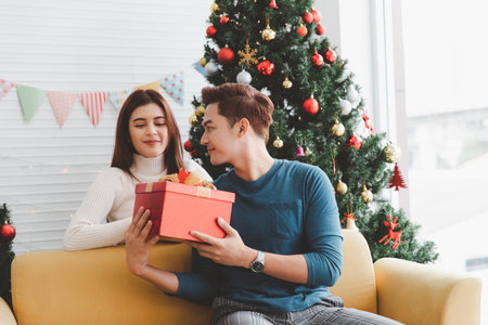 A man gives presents to a woman in a living room decorated with a Christmas tree during New Year and Christmasの写真素材
