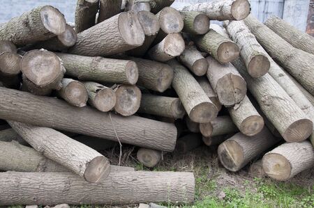 logの写真素材