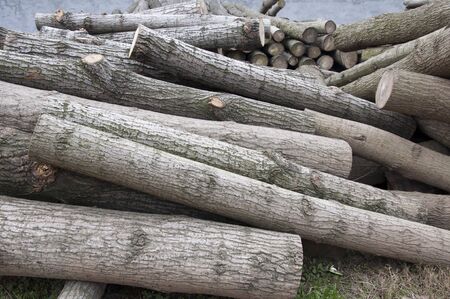 logの写真素材