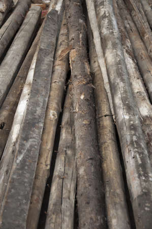 woodの写真素材