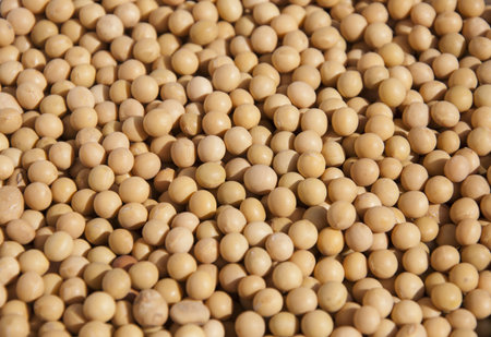 soy 