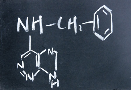cytokinin chemical structure written with chalk on blackboardの写真素材