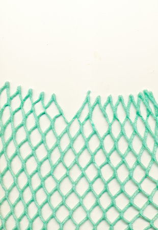 Plastic mesh