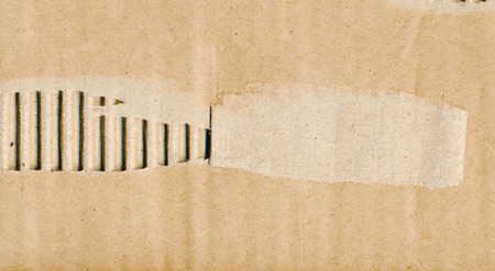 Torn corrugated paperの写真素材