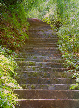 Mountain stone road