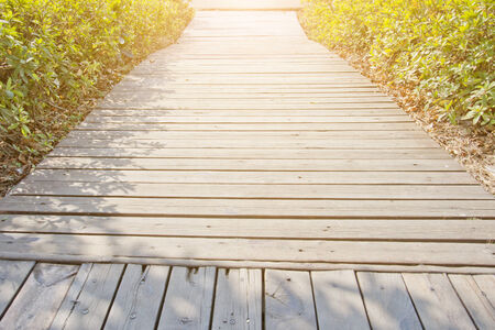 wood laneの写真素材