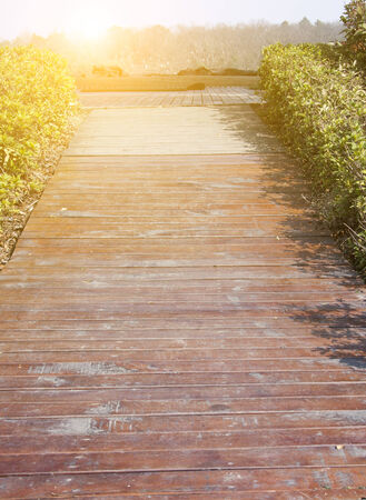 wood laneの写真素材