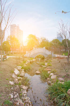 city parkの写真素材