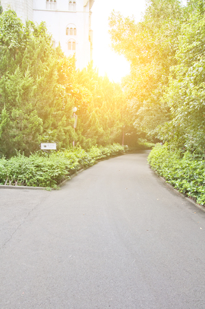 roadのeditorial素材
