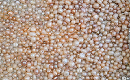pearlの写真素材