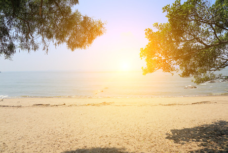beachの写真素材
