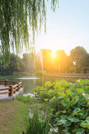 parkの写真素材