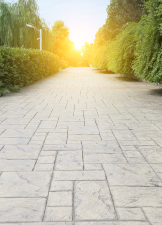 park roadの写真素材