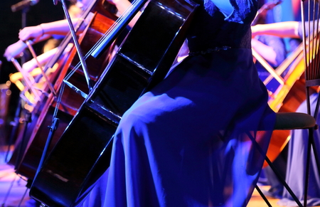 Cello playingの写真素材