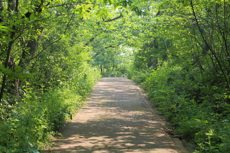 Mountain pathの写真素材