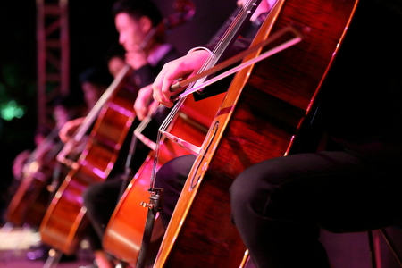 Cello playingの写真素材