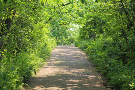 mountain trailの写真素材