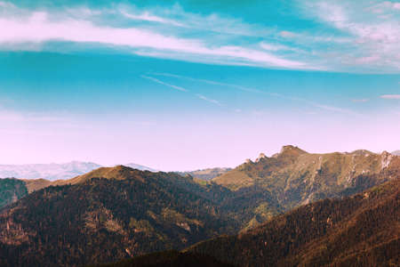 Morning in the mountains. Coniferous Forest. Beautiful landscapeの写真素材