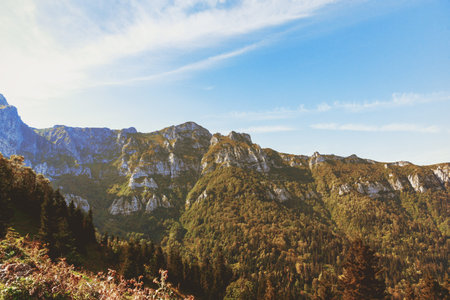 Green hills on a sunny day. Mountains. Nature landscape