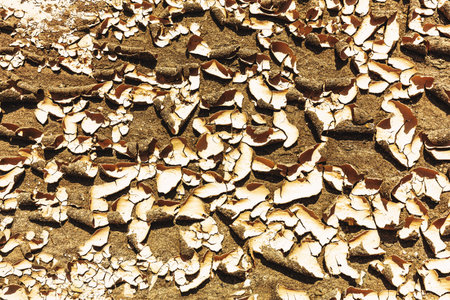 Dry cracked earth. Close-up. Drought Heat Desert