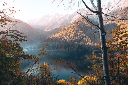 Ritsa Lake In Abkhazia Mountains Forest Travel
