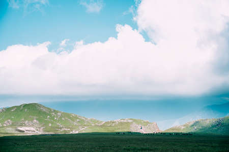 Silhouettes of a herd of cows grazing on a meadow far in the mountains Big cloudの写真素材