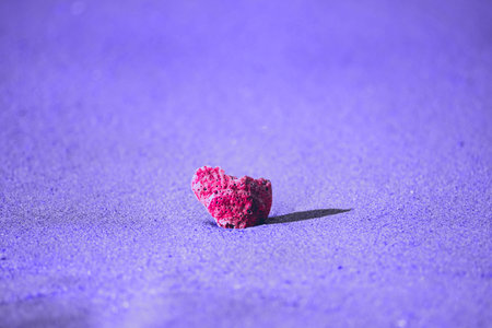 Pink seashell close up on purple sand at sea beachの写真素材