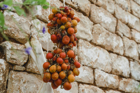 Cherry tomatoes drying in the production of Italian delicacies - Salento - Italy