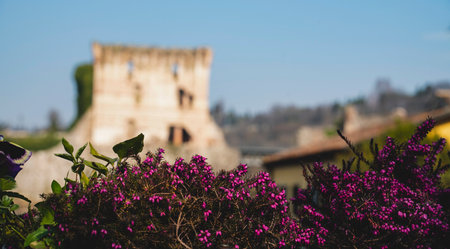 On a beautiful winter day, red flowers stand out in front of a tower of an ancient medieval castle in Italyの写真素材