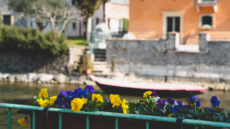 On the bank of a river the first flowers that bloom after a long winter next to a parked boatの写真素材
