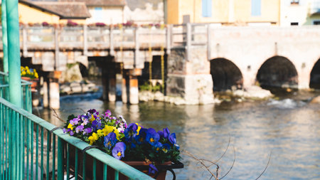 On the bank of a river the first flowers that bloom after a long winter positioned in front of an ancient bridgeの写真素材