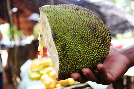 African fruit seller holding Jack Fruitの写真素材