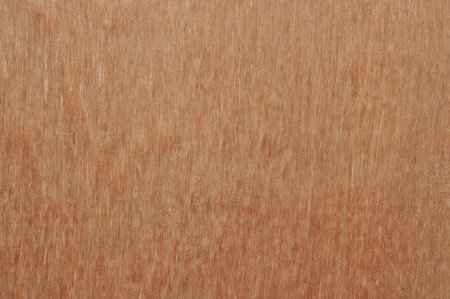 wood detail textureの写真素材