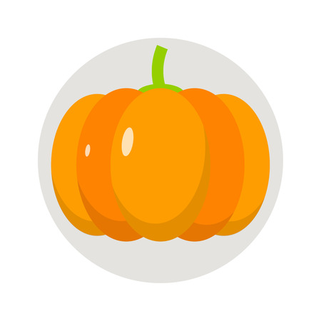 Pumpkin flat icon, vegetable harvest vector illustrationのイラスト素材