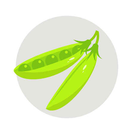 Peas flat icon, vegetable harvest vector illustrationのイラスト素材