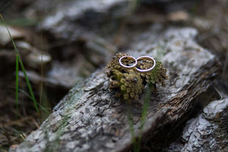 wedding rings on wooden background with pine conesの写真素材
