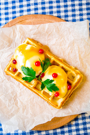 Belgian waffle with sauce, fried egg and parsleyの写真素材