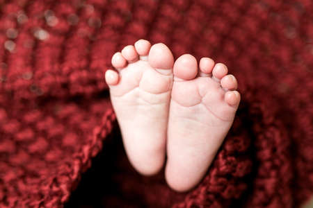 Closeup of legs of a newborn baby peeking out of  knitted blankets. The baby sleepsの写真素材
